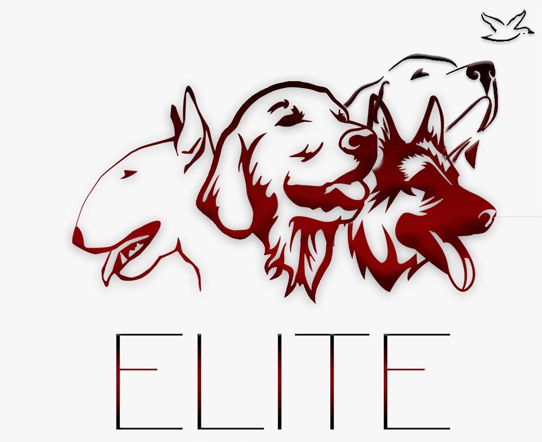 Hotel Elite Pet